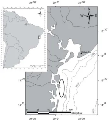 Figure 1. Camamu-Almada region off Bahia state, in northeastern Brazil, including  areas of sample collections