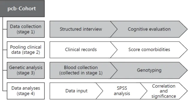 Figure 3 Experimental workflow 