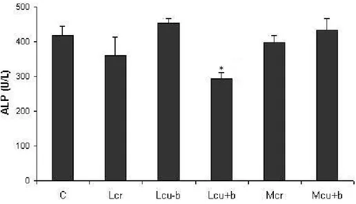 Figure 3. Activity of alkaline phosphatase [ALP (U/L)] in control and treated groups  (Lcr, Lcu-b, Lcu+b, Mcr and Mcu+b) after two months of treatment