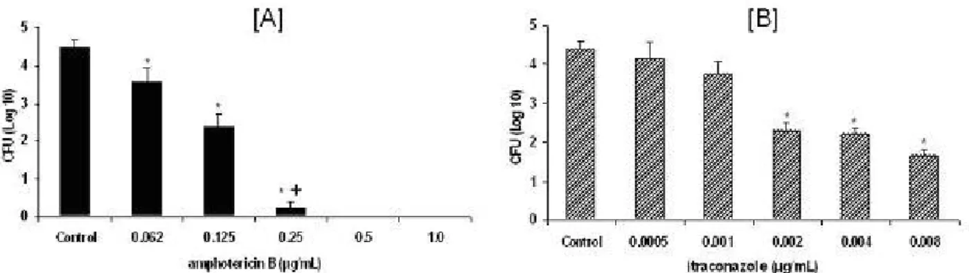 Figure 1. Viable yeast cells obtained from cultures with different (A) amphotericin B  or (B) itraconazole concentrations