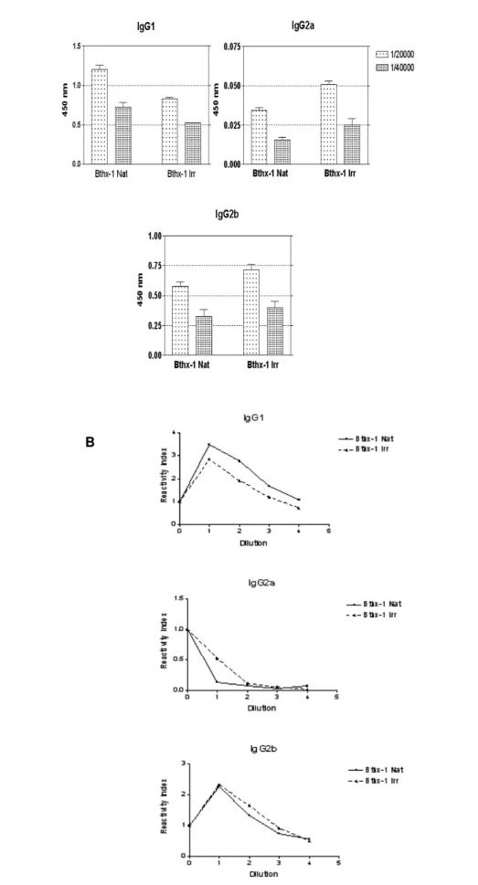 Figure 3. ELISA for antibody isotyping (IgG1, IgG2a and IgG2b) in native (Nat) and  irradiated (Irr) bothropstoxin-1 samples (A)