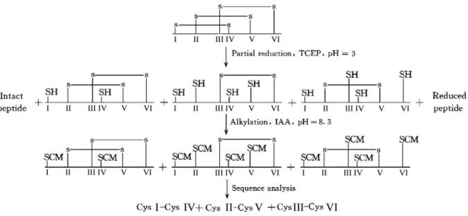 Figure 1. Chemical overview of the methodology. The Roman numerals below the  sequences show the order of cysteine residues in the sequences