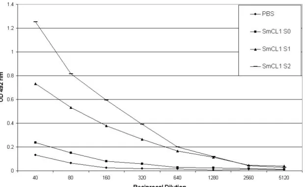 Figure 2. Antibody responses induced by recombinant SmCL1. Swiss mice received  footpad immunization, in intervals of seven days, that comprised three 20-μg doses  of recombinant protein (SmCL1) in PBS adsorbed in aluminum hydroxide