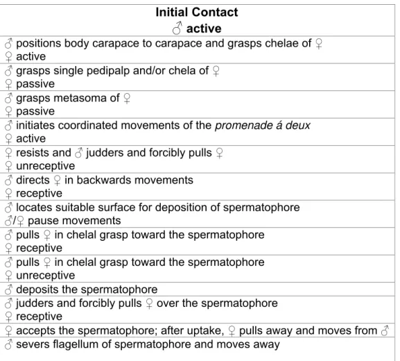 Figure 1. Ethogram demonstrating the behavioral components of the courtship  sequence in Tityus (Atreus) magnimanus