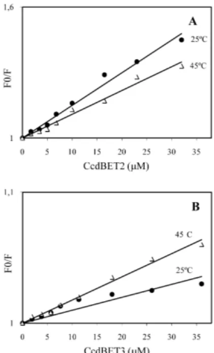 Figura 4. Efeito da temperatura na interação do CcdA41 com CcdBET2 (A) e  CcdBET3 (B)