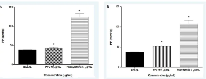 Figure 4. Effects of  Polybia paulista  venom (PPV) at concentrations of (A) 10 µg/mL and (B) 100 µg/mL on  perfusion pressure (PP) of arteriolar mesenteric beds