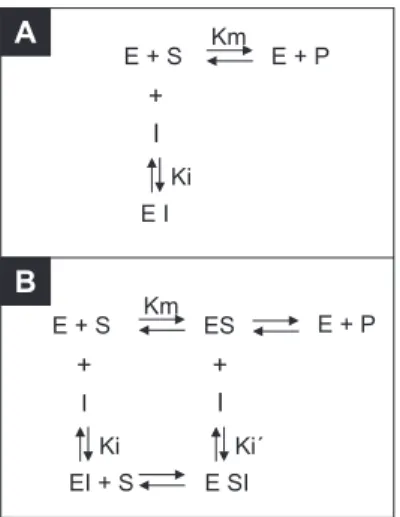 Figura 1. Mecanismos de reação de uma enzima alterados pela presença de  inibidores. A) Na presença de um inibidor competitivo