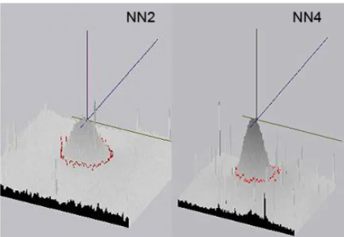Figure  3.  The  three-dimensional  images  of  NN1  and  NN3  spots  clearly  showing  individual  peaks