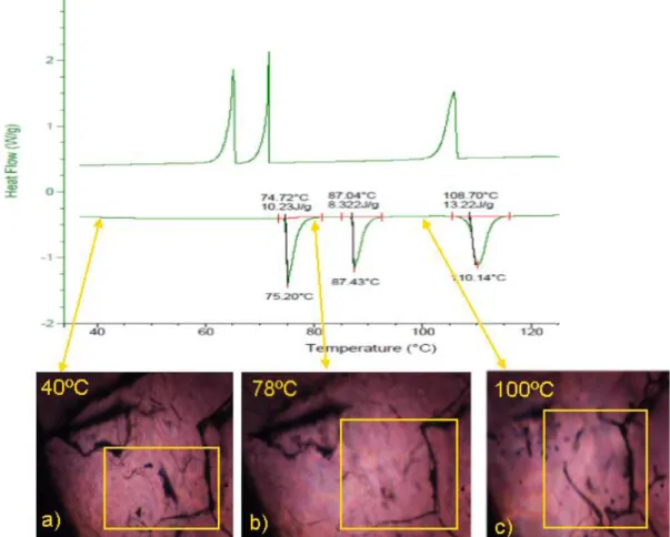 Figure   8  –  DSC  thermogram  of  pure  1-methyl-3-propylpyrrolidinium  hexafluorophosphate  and  images  acquired  by  POM  at  three  different  temperatures  from  the  different  polymorphic  forms:  a)  [C 3 C 1 pyrr][PF 6 ] at 313 K; b) [C 3 C 1 py