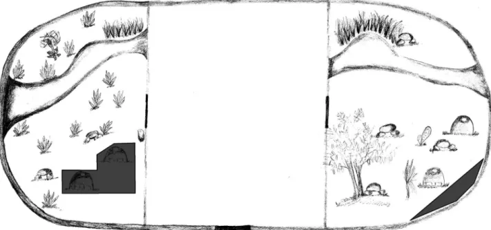 Figure 1. Aerial view of  serpentarium :  Bothrops  species are on the left and  Crotalus  to the right