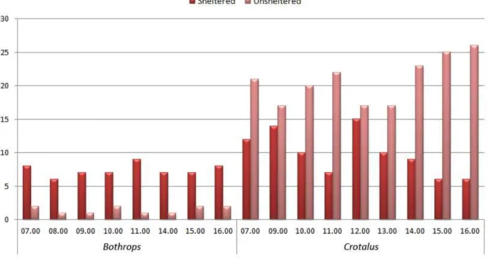 Figure 4. Daily microhabitat distribution of Bothrops and Crotalus.