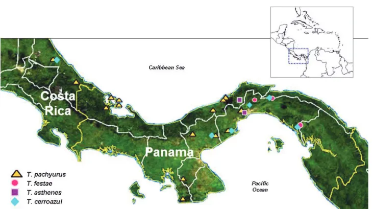 Figure 1. Geographical distribution of Central American Tityus species: The known distribution of T