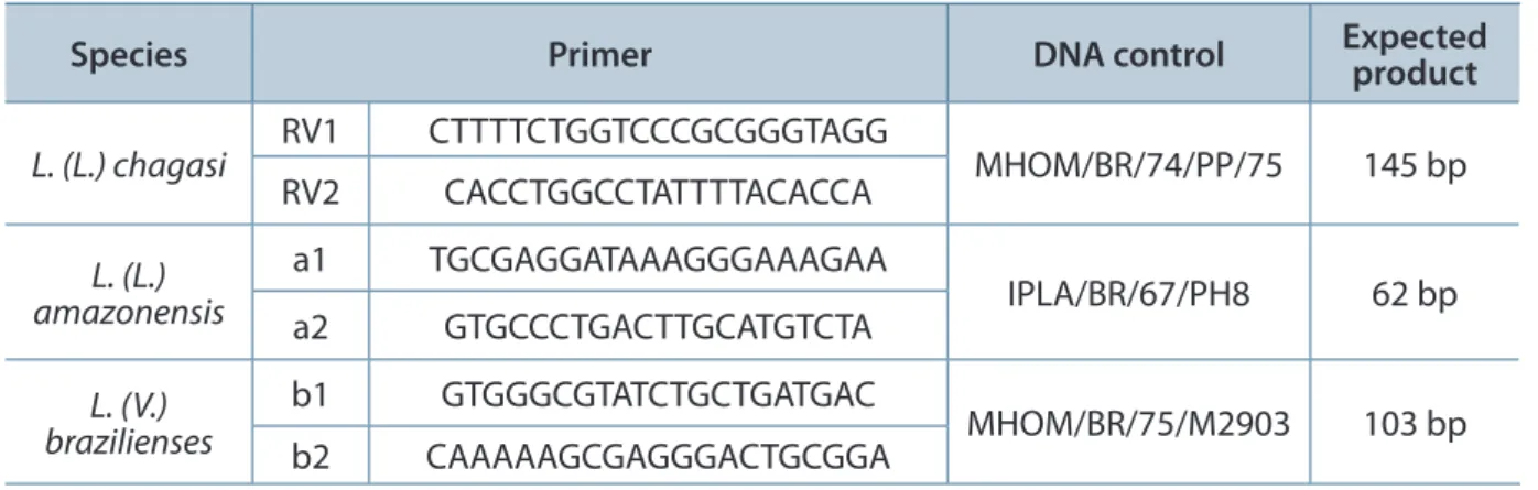 Table 1. Primers and DNA controls for the species  L. (L.) chagasi, L. (L.) amazonensis  and  L