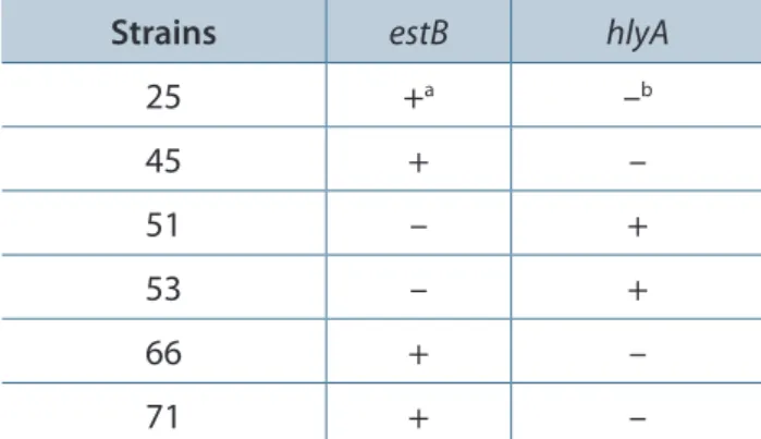 Table 2. Strains containing genes for STb and αHly  among  39  cytotoxic  enterotoxin-producing  E