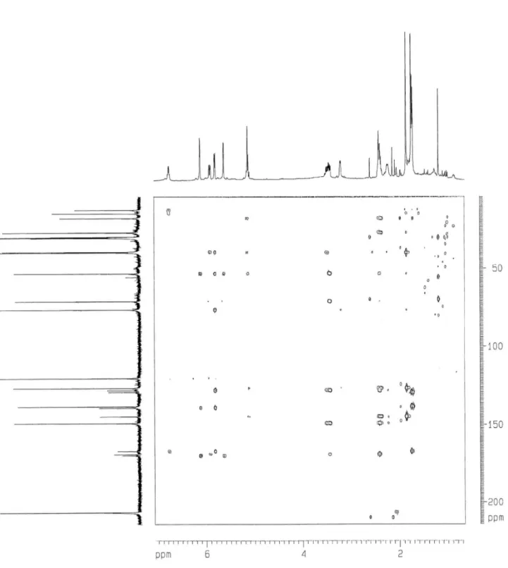 Figura 5S. Espectro de RMN HMBC [(CD 3 ) 2 CO] do composto 4