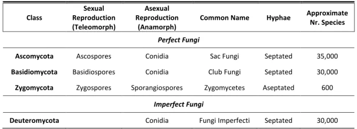 Table 2 Classification of Fungi, adapted from Fisher &amp; Cook (1998) and Prescott et al., (2005) 