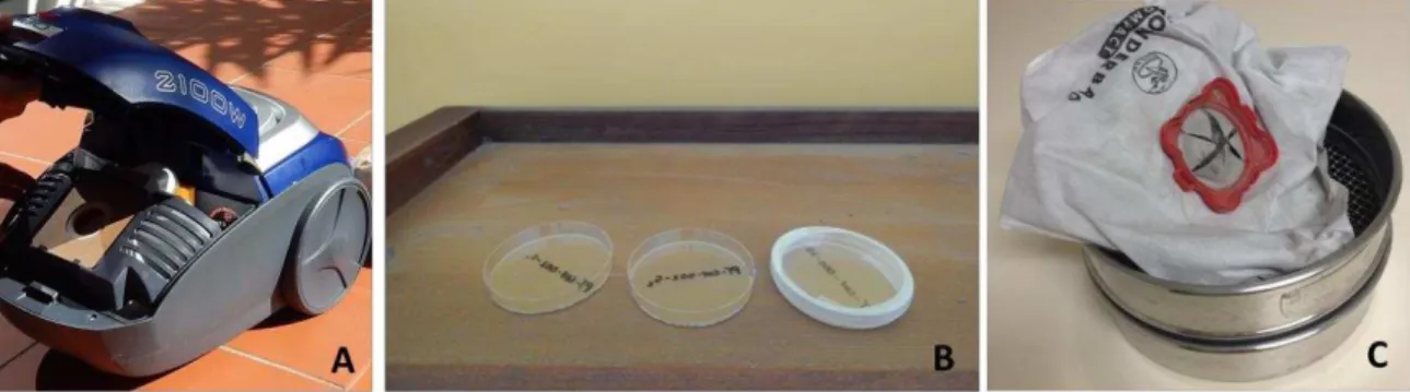 Figure 7 House dust sampling. (A) Household vacuum cleaner used for active sampling; (B) Petri dishes placed  on the top of a shelf; (C) Vacuum cleaner bag retrieved after 60 days of sampling