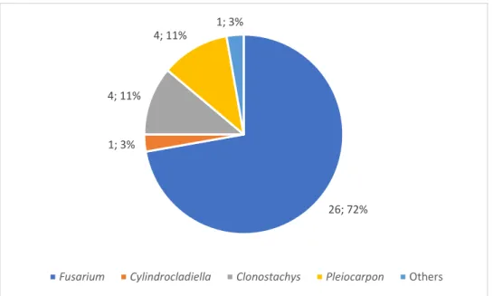 Figure 8 - Distribution of the number and percentage of isolates for each genus according to the tef1-α BLAST results 