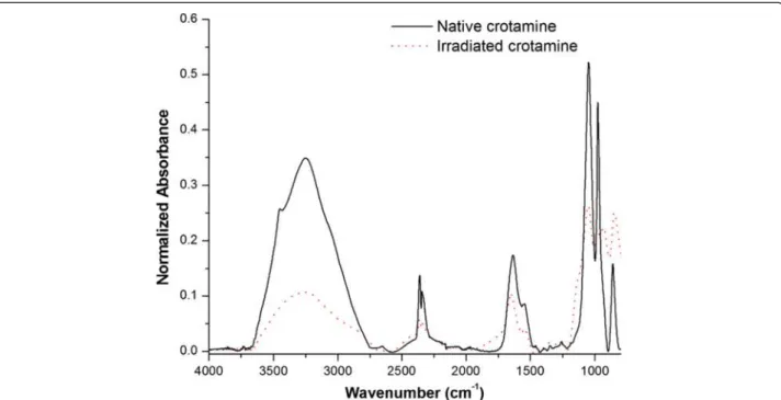 Fig. 4 FTIR spectra of the native (solid line) and irradiated (dotted line) forms of crotamine