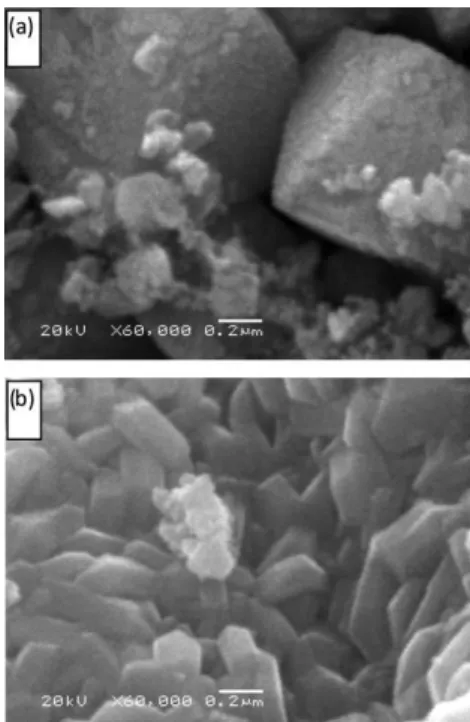 Figura 3. Micrograias de AFM das amostras A10 (a) e A20 (b) tratadas a 500 °C