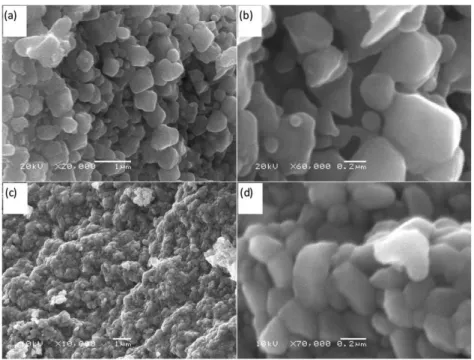 Figura 1S. Micrografias de MEV das amostras A10 (a, b) e A20 (c, d), tratadas a 1000 °C