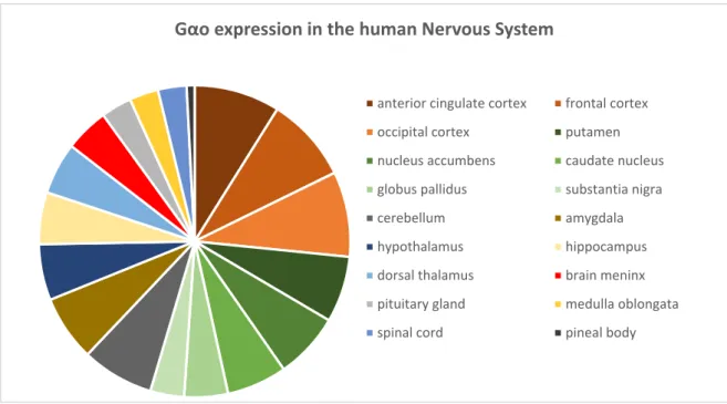 Figure A2.1. Gαo expression in the different regions of the human nervous system. Data was retrieved from four studies  present in the Expression Atlas database, and the values were normalized to each study