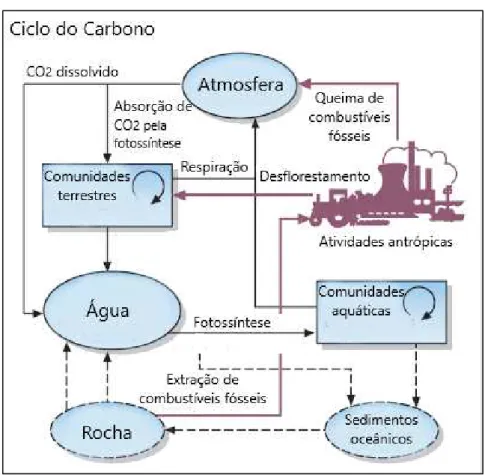 Figura 2. Ciclo global do carbono. 