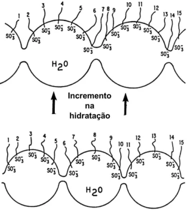Figura  2.9  Representação  esquemática  da  redistribuição  dos  grupos  iônicos  nos clusters ionoméricos com o incremento na hidratação