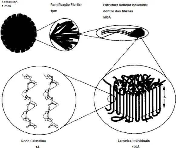 Figura  3.8:  Representação  esquemática  da  estrutura  hierárquica  de  cristais  poliméricos [26]