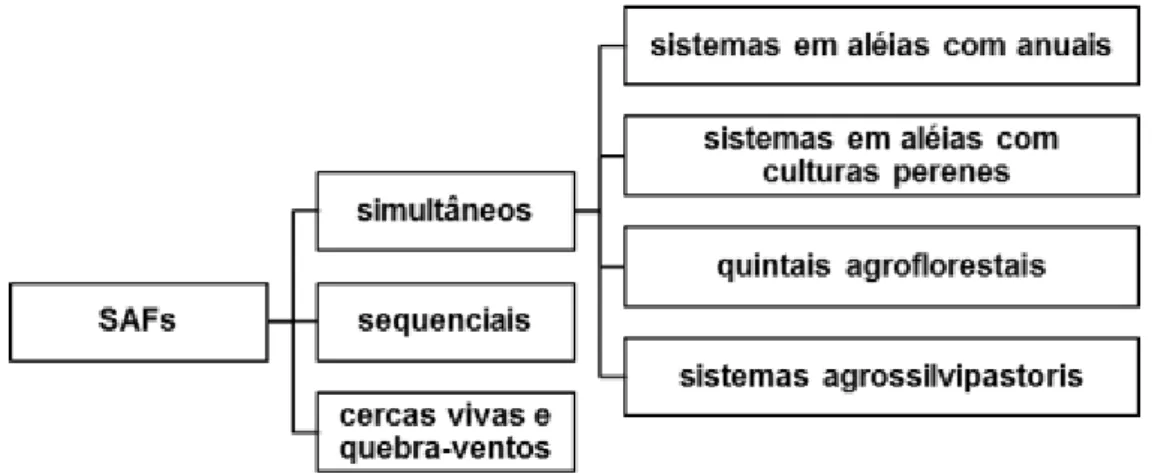 Figura 2  –  Classificação de SAFs. FONTE: Coelho, 2012 (adaptado).  