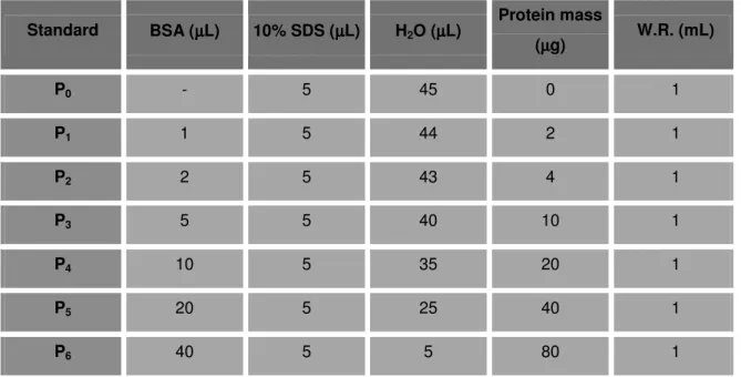 Table 6 – Standard curve used in the BCA protein assay method.  