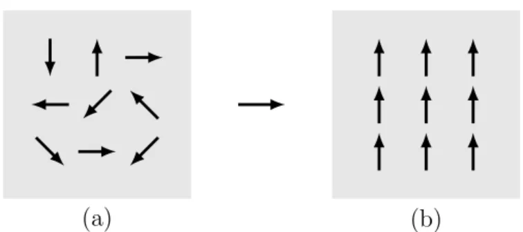 FIGURA 1.1 – Quebra de simetria. As setas representam a dire¸c˜ao dos spins. No caso (a) n˜ao existe uma dire¸c˜ao preferencial e o sistema ´e completamente sim´etrico em rela¸c˜ao `a rota¸c˜ao