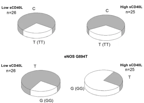 Fig 2. Variations of genotyping polymorphisms of eNOS T786C and G894T in low- and high-sCD40L groups of STEMI patients.