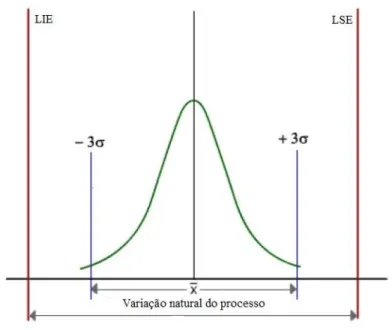 Figura 10  –  Tipos de variações  do processo. 
