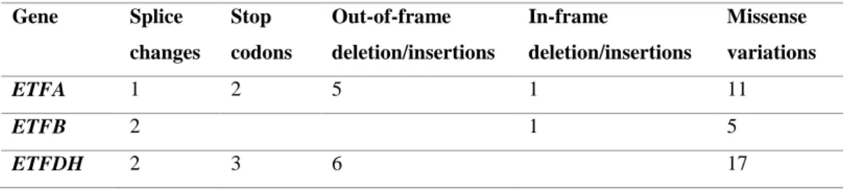 Table 2. Type and number of gene mutations in MADD. Adapted from Gregersen et al. (47)