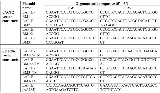 Table II.1. Oligonucleotides used to generate LAP1B deletion mutants by PCR.
