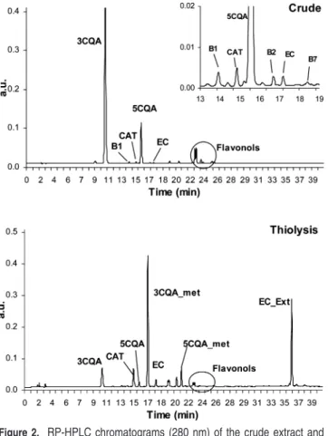 Figure 2. RP-HPLC chromatograms (280 nm) of the crude extract and after thiolysis of plums (GG-C) (B1, procyanidin B1; B2, procyanidin B2;