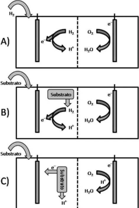 Figura 2. Conigurações típicas para as MFCs. (A) MFC de biorreator de- de-sacoplado em um biorreator seguido por uma célula de combustível química