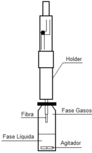 Figura 1. Esquema de um sistema fechado contendo: fase líquida, fase gasosa  e a ibra de SPME