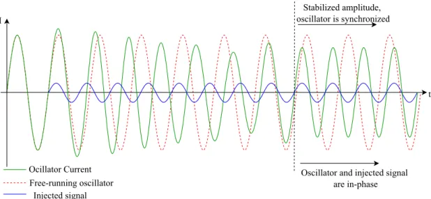 Figure 4.4: Syncronization of an oscillator using a periodic stimulus (adapted from [16]).
