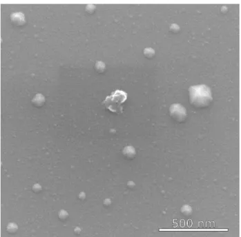 Figura 42 – Nanopartículas de Fe 3 O 4  sem recobrimento submetidas a microscopia eletrônica de varredura MEV