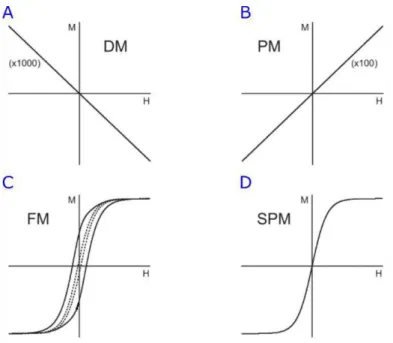 Figura 11 – Figura adaptada da referência (Q. A. PANKHURST et al., 2003). Curvas de histerese de (A) um  material diamagnético (DM) com escala ampliada em 1000 vezes sob um alto campo magnético aplicado  apresentando uma baixa magnetização, (B) um material