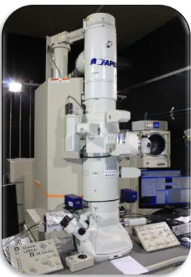 Figura 21 – Microscópio de transmissão eletrônica TEM-MSC nas instalações do LNNano. 
