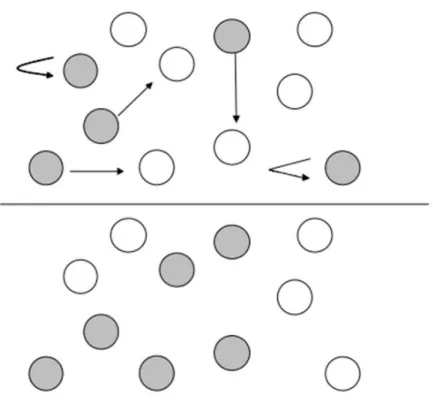 Figura  2  - Modelo  de  Metapopulações  de  Levins.  Círculos  preenchidos  representam  fragmentos  ocupados  pelo  organismo  em  questão