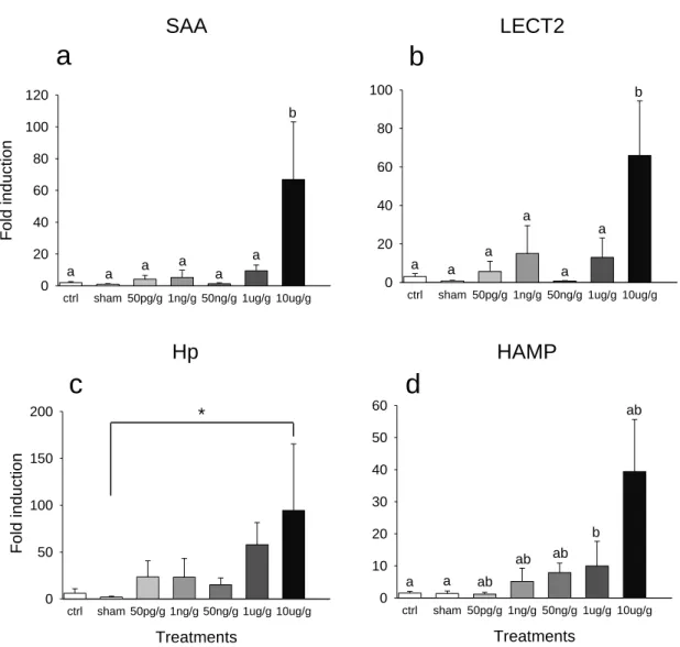 Figure  2.1.  Fold  induction  in  response  to  LPS  dose  of  a)  SAA;  b) lect2;  c)  hp;  and,  d)  hamp  relative  to  Ef1α,  determined  by  qPCR,  in  zebrafish  viscera  (liver,  intestine,  pancreas  and  spleen)