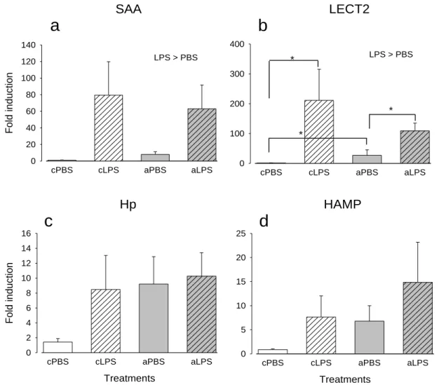 Figure 2.4. A comparison of the effects of 14 day pre-exposure to sub-lethal ammonia  levels  (0.5mM;  grey  bars)  on  the  induction  of  innate  immunity  genes  by  10μg/g  LPS  (hatched bars)