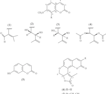 Figura 1. Cumarinas isoladas de Rauia resinosa