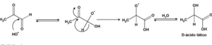 Figura 1. Formação de D-ácido lático a partir de metilglioxal, proposta por  Neuberg, 59  utilizando a reação de Cannizzaro