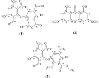 Figura 1. Estruturas do ácido salazínico (1), da liquexantona (2) e da atra- atra-norina (3), isolados do líquen Parmotrema lichexanthonicum