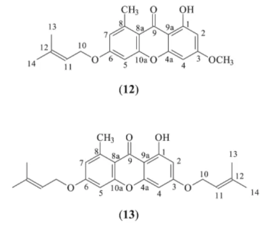 Figura 3. Produtos (10) e (11) produzidos a partir de reações de desmetilação  da liquexantona (2), e (11’), não obtido